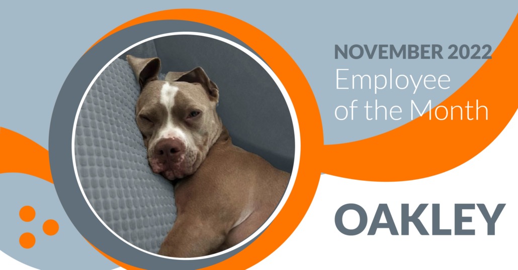 Oakley, November employee of the month